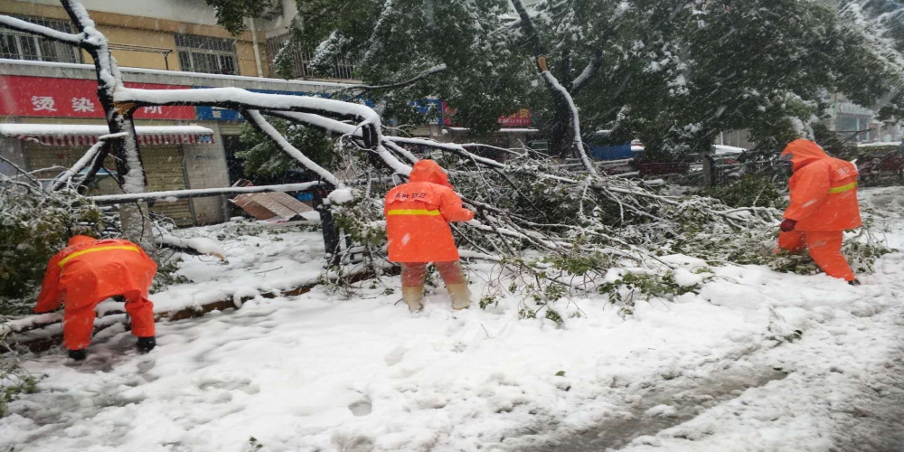新站區(qū)道路清掃保潔、綠化管養(yǎng)項目